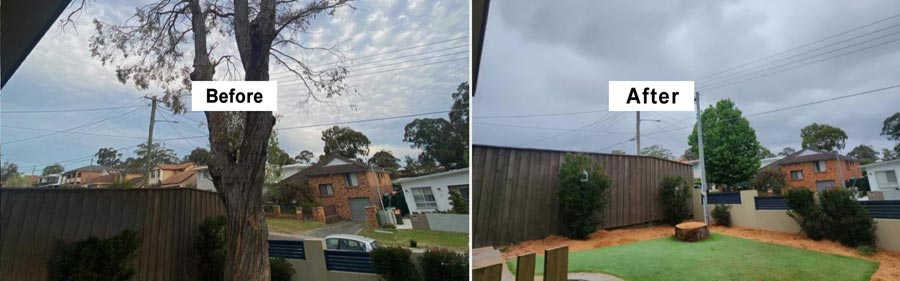 Tree Services Sutherland Shire