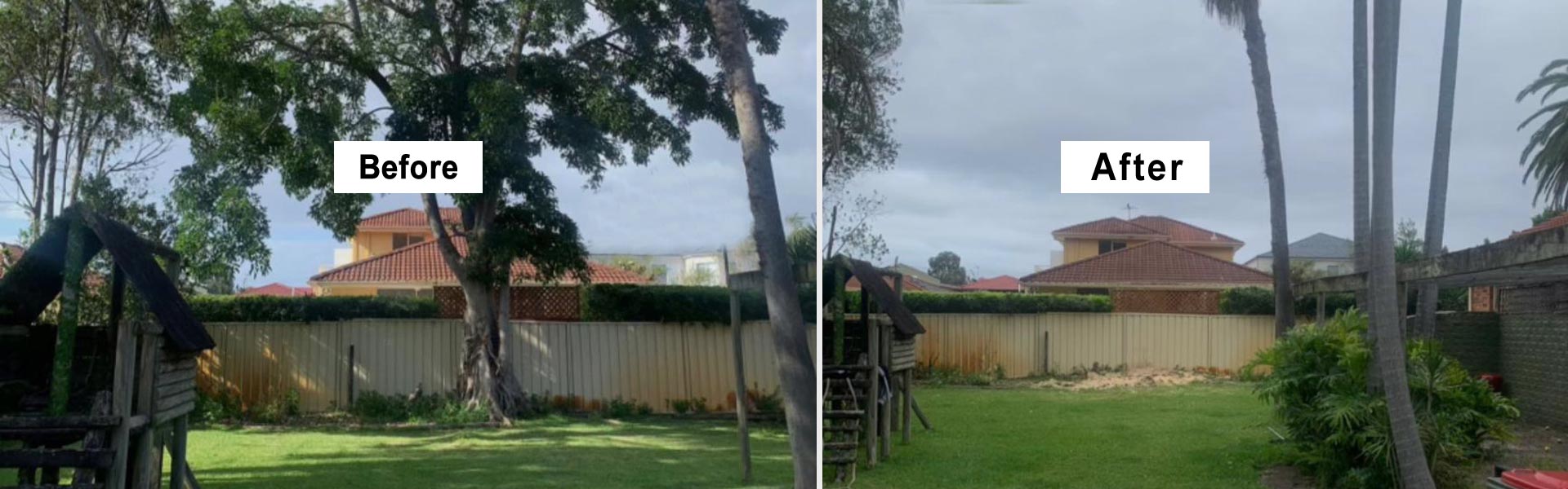 Tree Removal Sutherland Shire