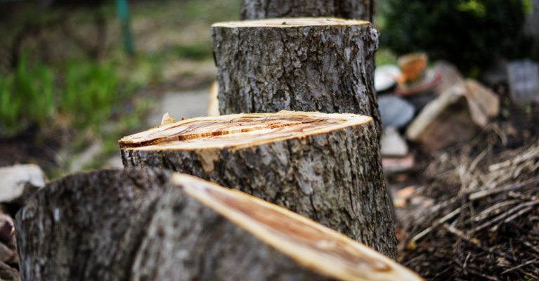 Green Waste Removal Sutherland Shire Near me